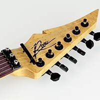 Liuteria Rox Guitars