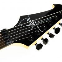 Sully / FU Guitars