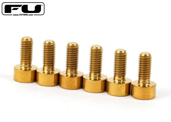 Titanium Saddle Mounting Screw Set (6) - GOLD